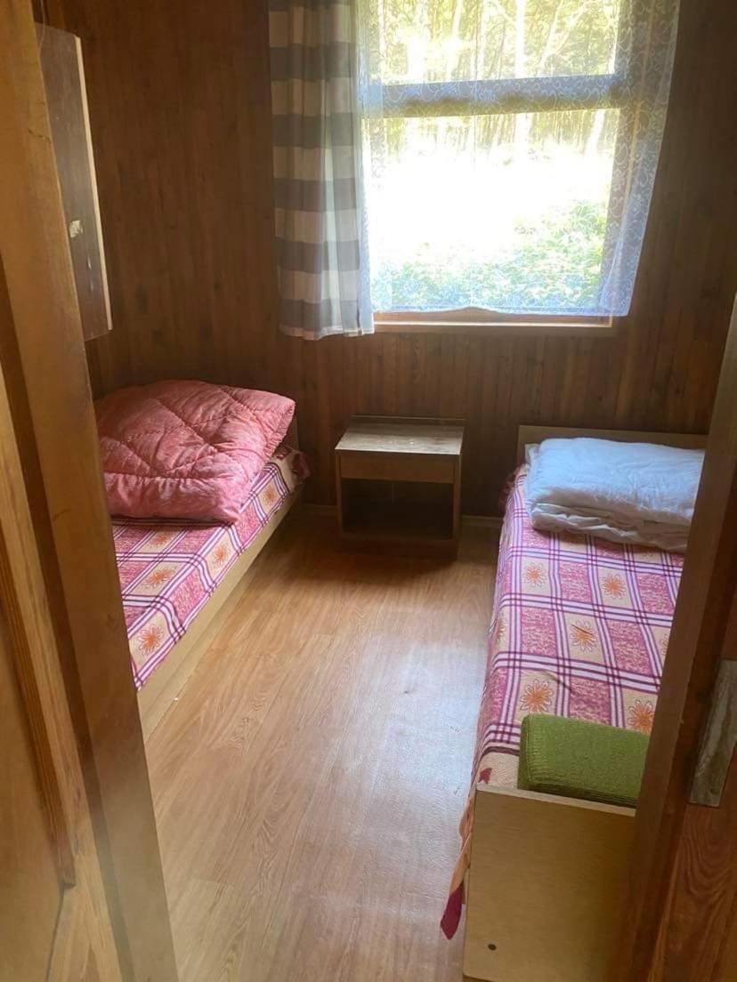 Domki Szumi Las Mrzeżyno Εξωτερικό φωτογραφία